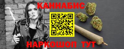 индика Братск
