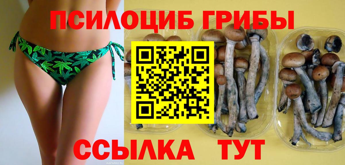 Галлюциногенные грибы Psilocybine cubensis  где купить наркоту  Псилоцибиновые грибы Cubensis  Ачинск  Вход с VPN 